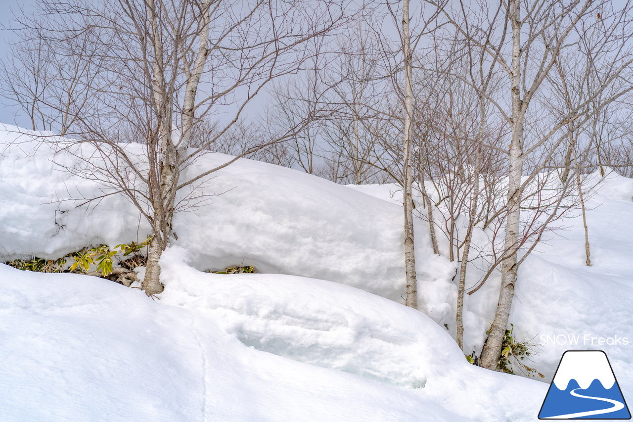 石狩平原スキー場｜今冬は豪雪の当別町。びっくりするほど積雪たっぷりのローカルゲレンデへ！